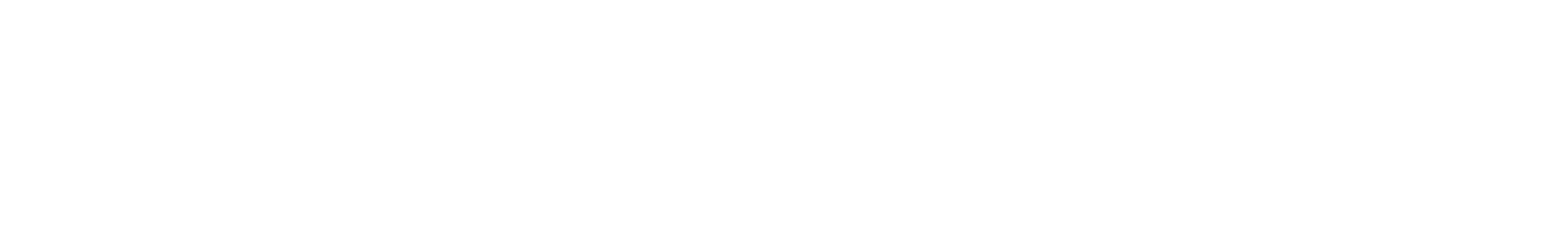 Fair Fight Action Inc