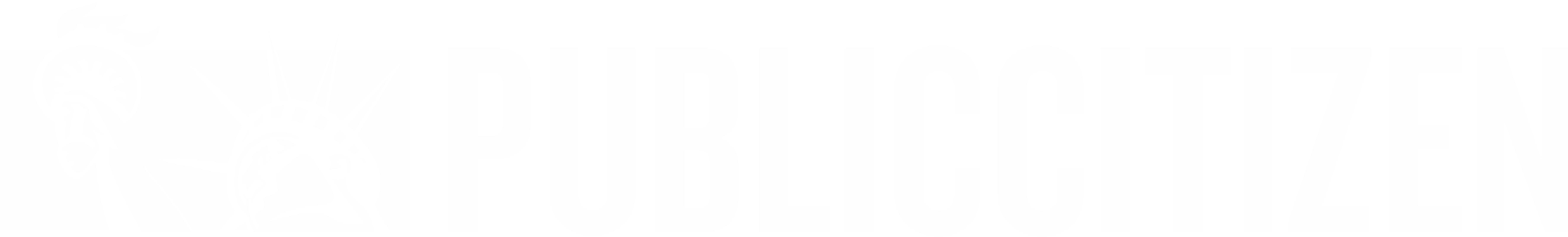 Public Citizen